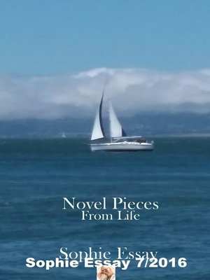 cover image of Novel Pieces